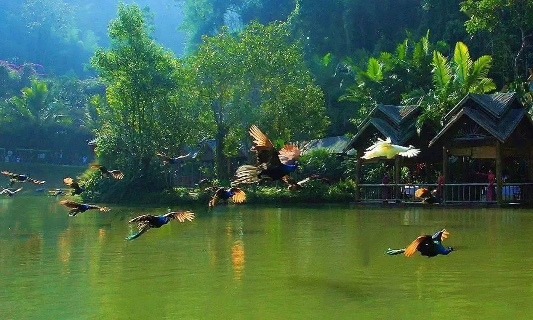 孤岛惊魂原始杀戮